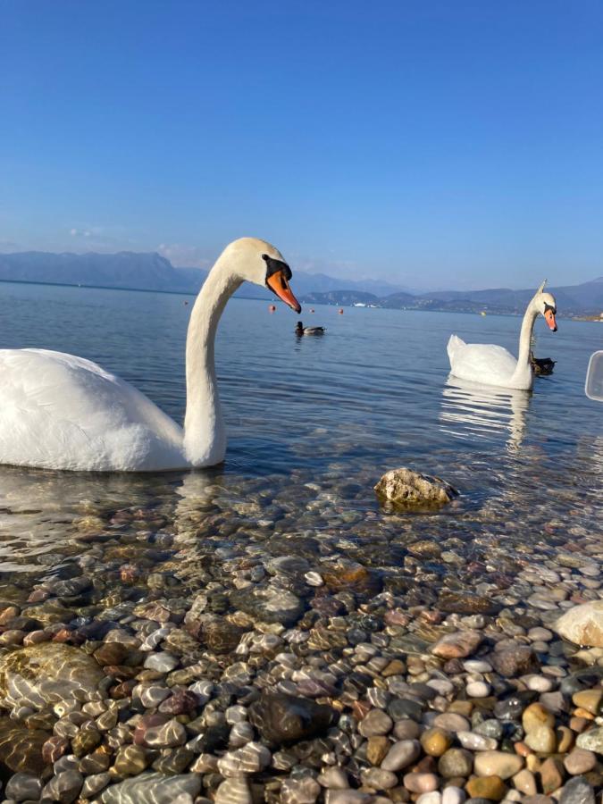 Garda Art&Lake Peschiera del Garda Exterior foto